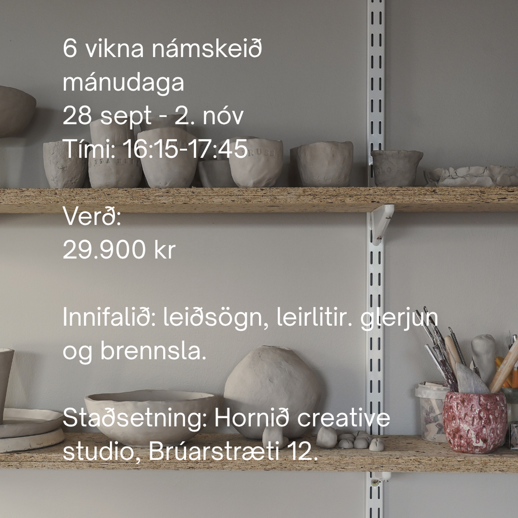 Leirnámskeið 10-16 ára
