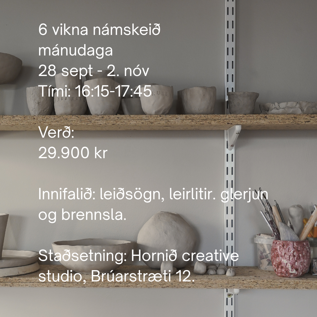 Leirnámskeið 10-16 ára