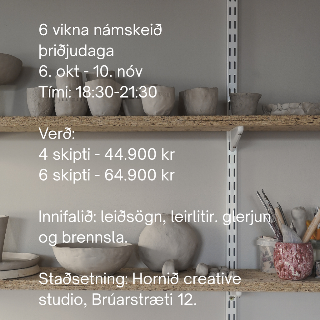 Leirnámskeið