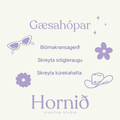 Gæsanir